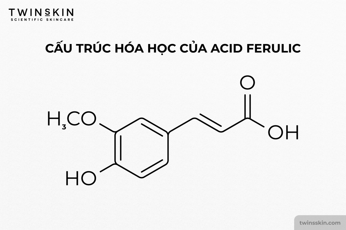 acid ferulic cấu trúc hoá học