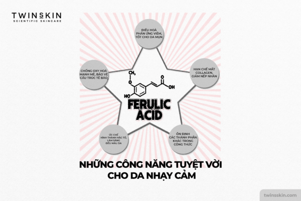 ferulic-acid-co-tac-dung-gi-1