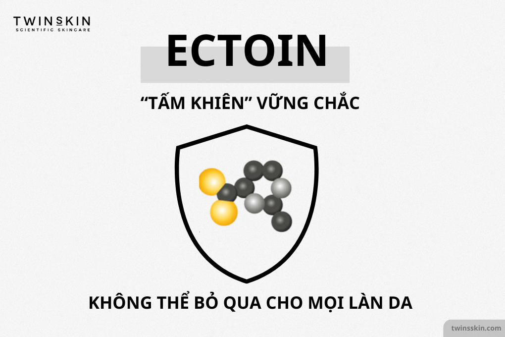 cover-ectoin